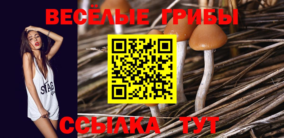 Псилоцибиновые грибы мицелий  Вход с VPN  Керчь 